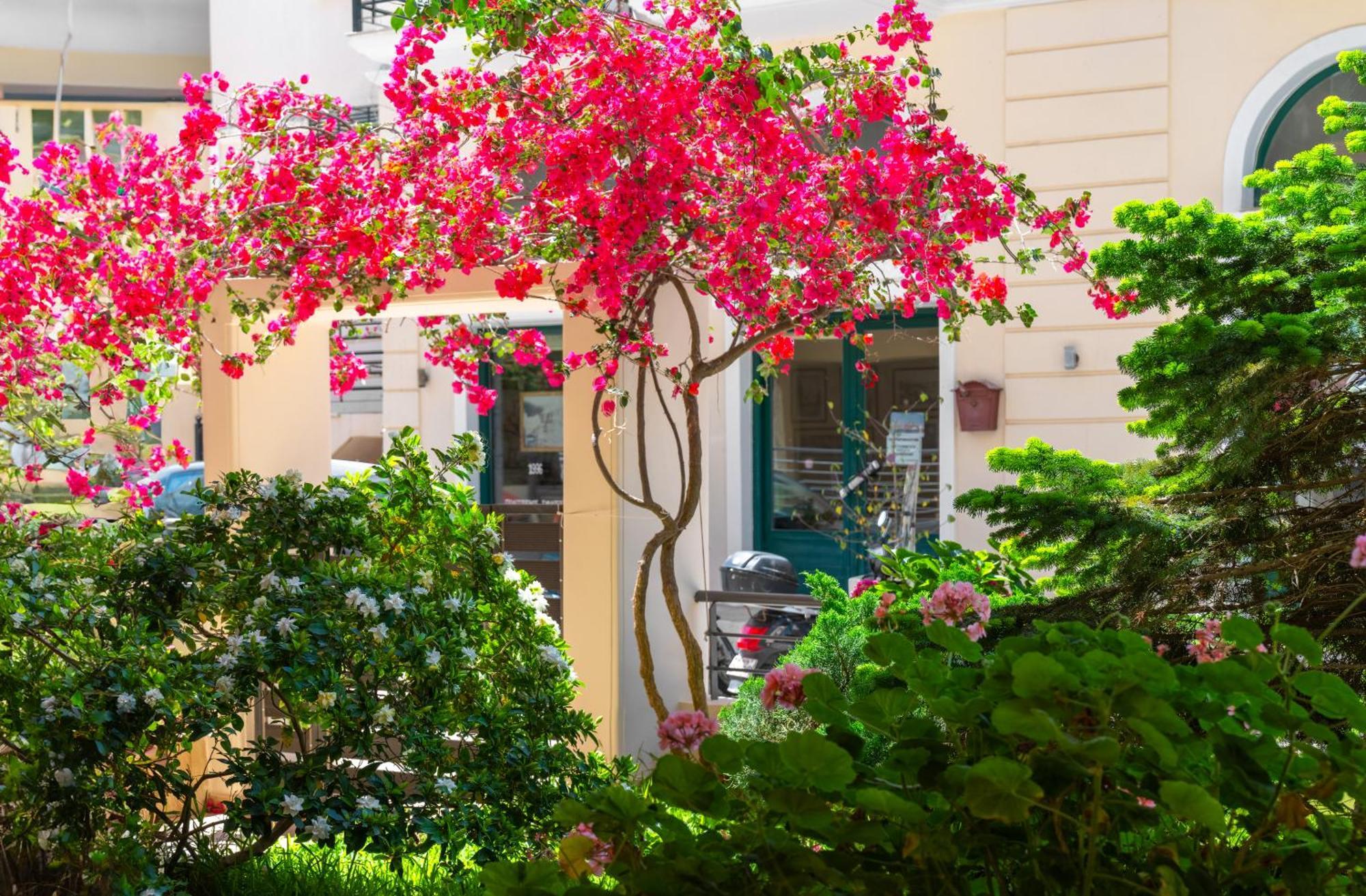 Myrto3 Apartment Preveza Exterior photo
